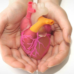 Fellowship in Cardiac Rehabilitation